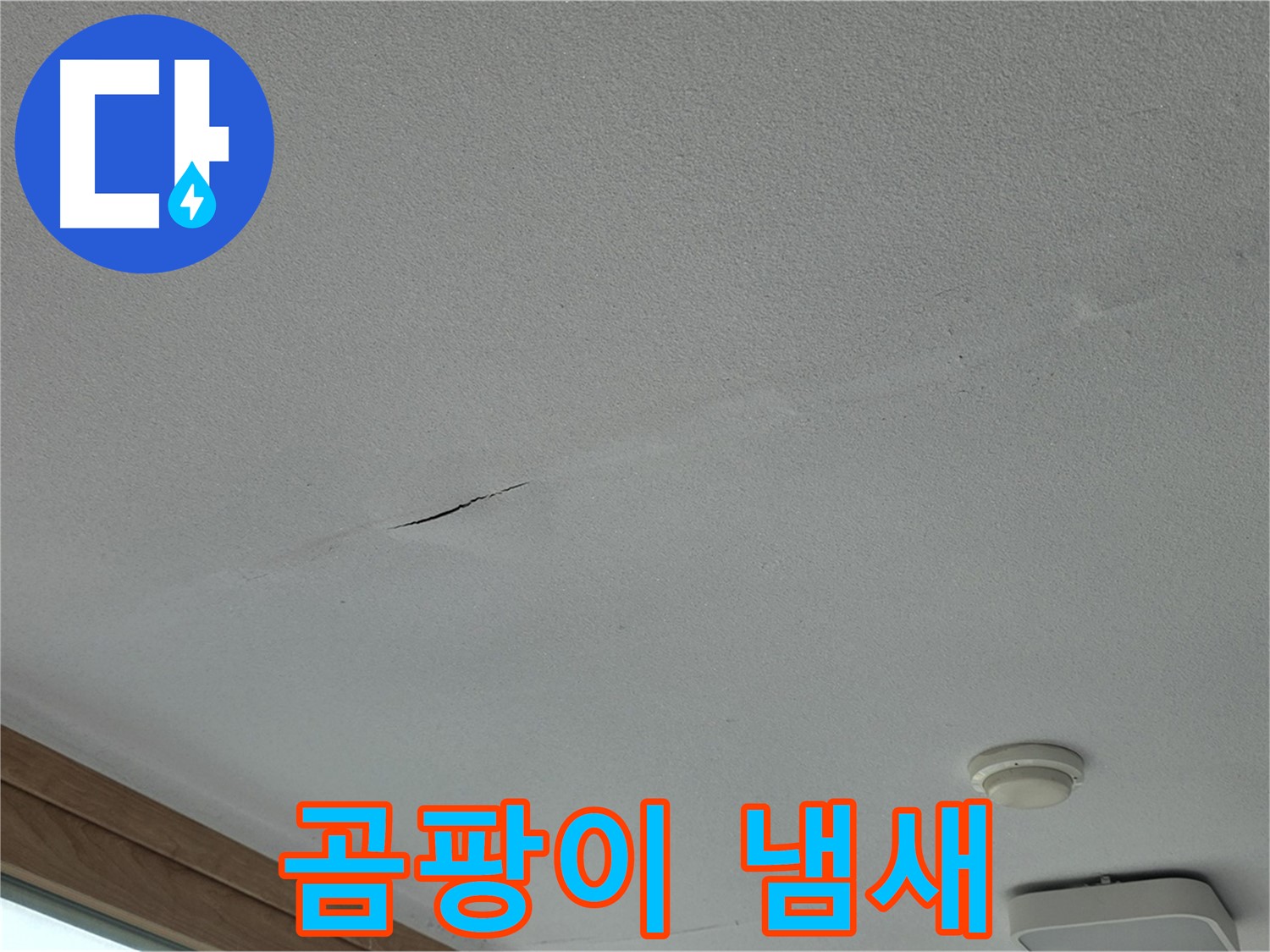 포천시 일동면 아파트 - 불쾌한 곰팡이 냄새