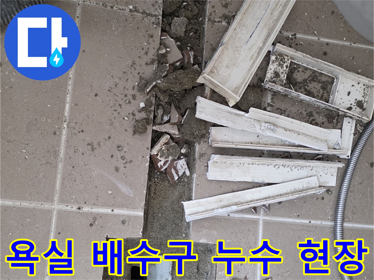 포천시 일동면 아파트 욕실 배수구 주변 누수 - 타일 철거 후 누수 원인 탐색 중
