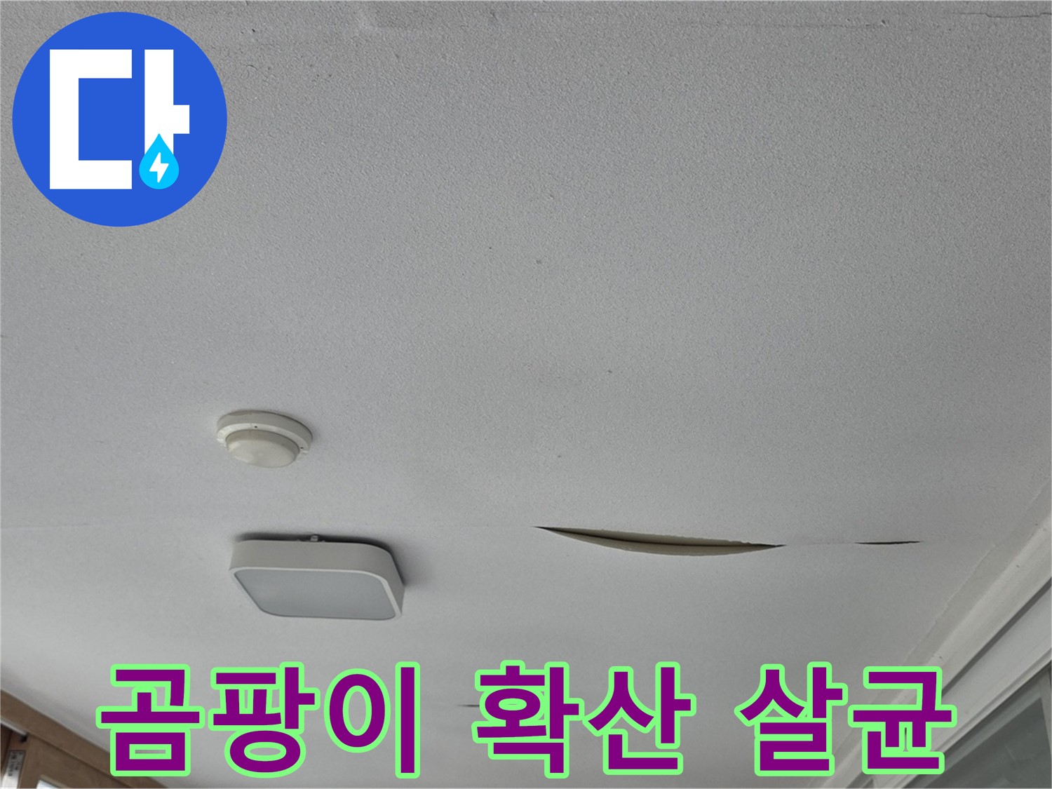 포천시 일동면 아파트 천장 누수 - 석고보드 곰팡이 확산 긴급 살균