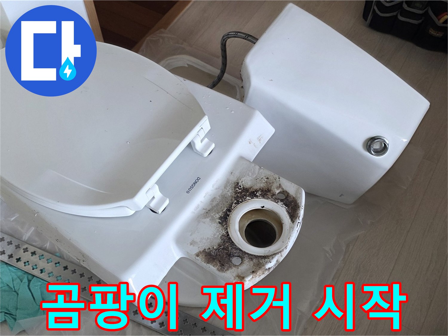 포천시 일동면 운악청계로 1772 - 변기 곰팡이 제거 작전 개시!