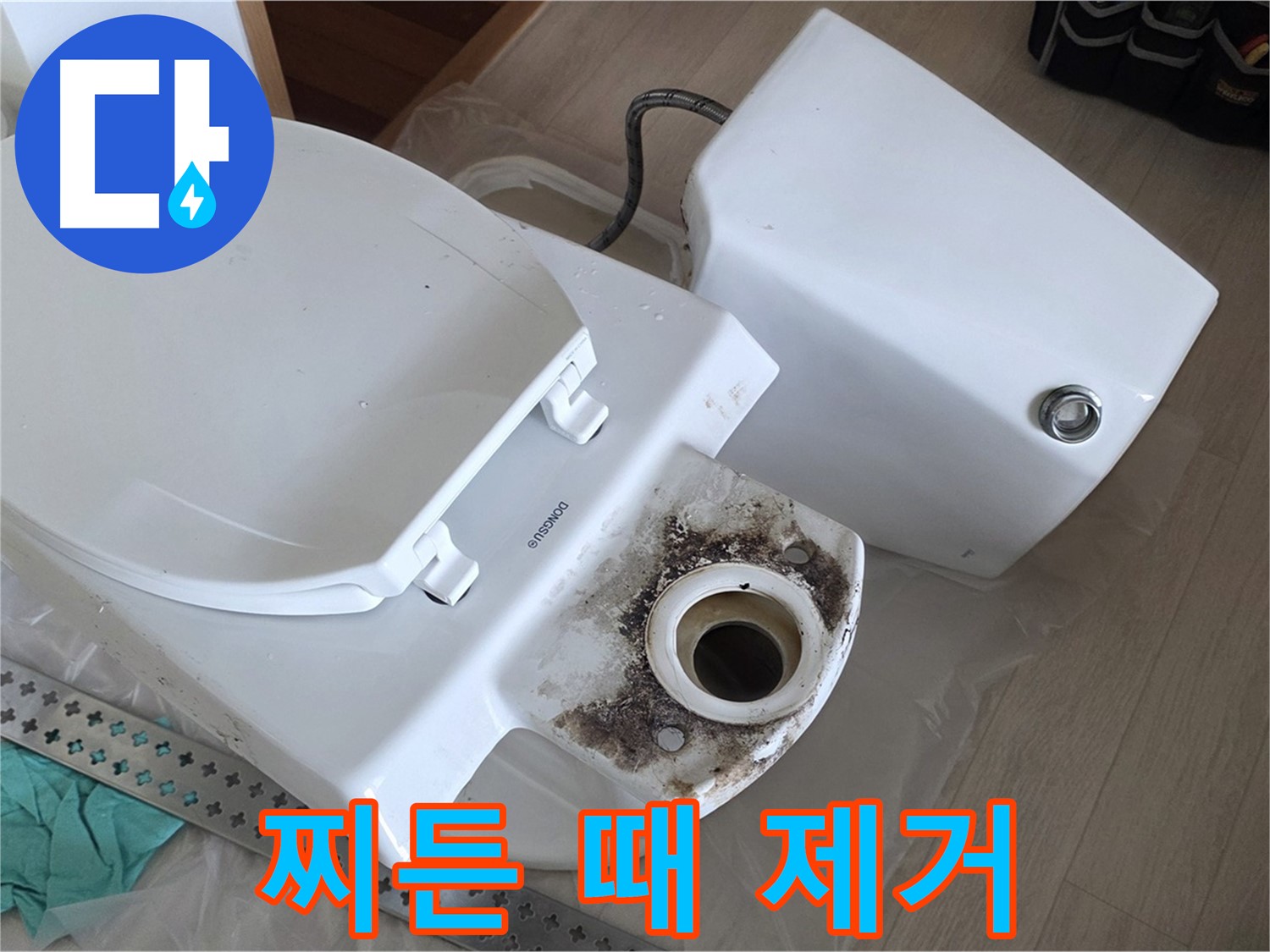 포천시 일동면 운악청계로 기산베스트빌 아파트 - 변기 찌든 때와 곰팡이 완벽 제거 작업 진행 중