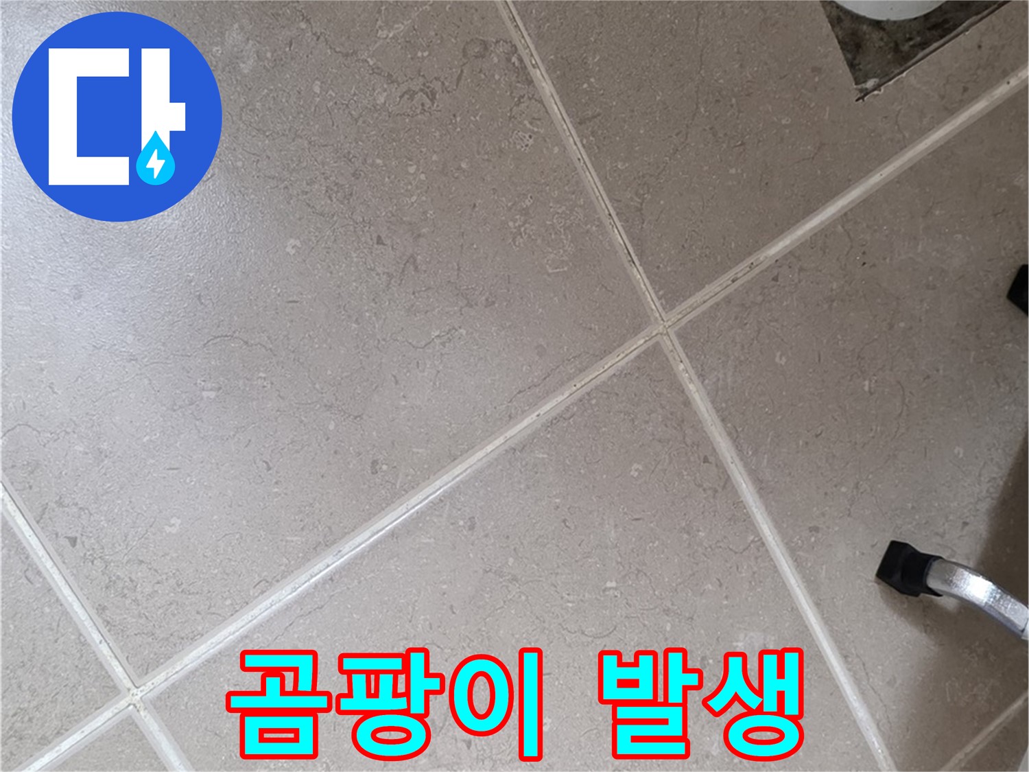 포천시 일동면 운악청계로 욕실 배수구 주변 곰팡이 발생 확인 - 습한 환경이 지속되면 발생합니다.