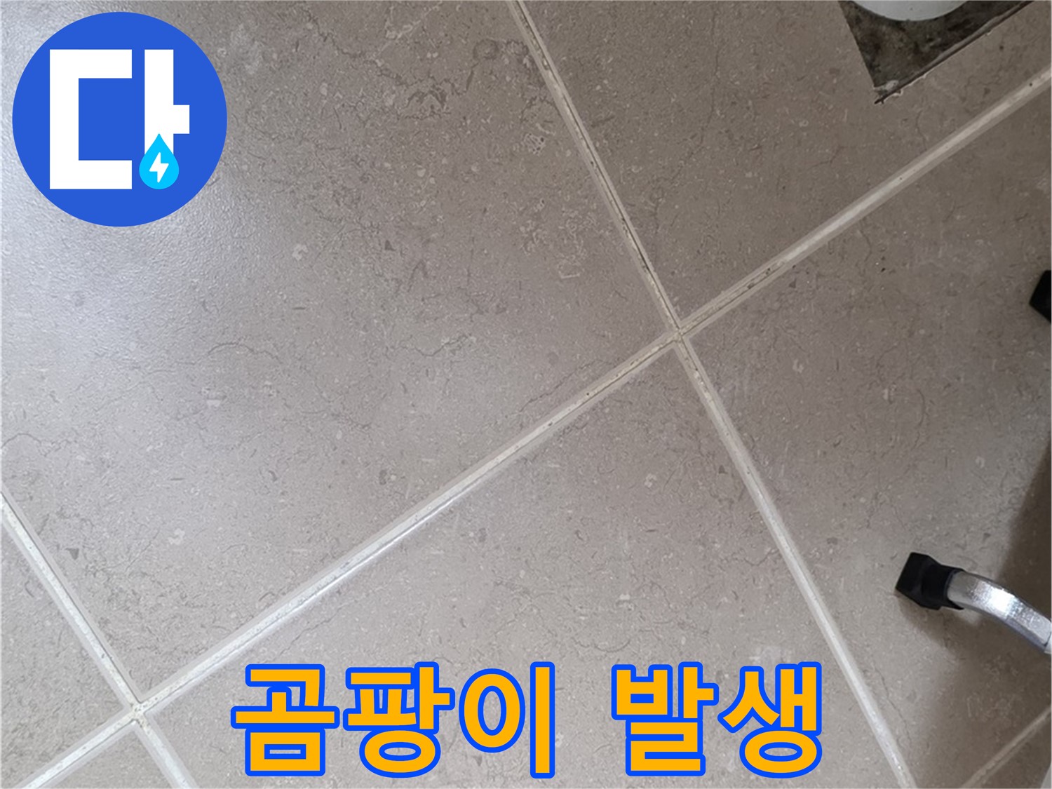 포천시 일동면 운악청계로 욕실 배수구 주변 곰팡이 발생 확인 - 습한 환경이 지속되면 발생합니다.