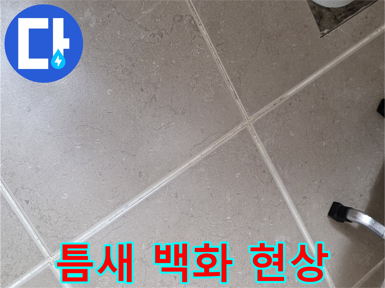 포천시 일동면 운악청계로 욕실 배수구 주변 타일 틈새 백화 현상 - 물이 증발하면서 생긴 자국일 수 있습니다.