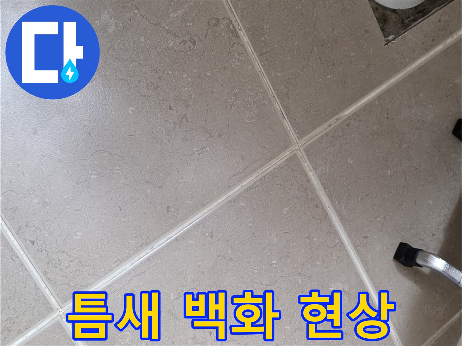 포천시 일동면 운악청계로 욕실 배수구 주변 타일 틈새 백화 현상 - 물이 증발하면서 생긴 자국일 수 있습니다.