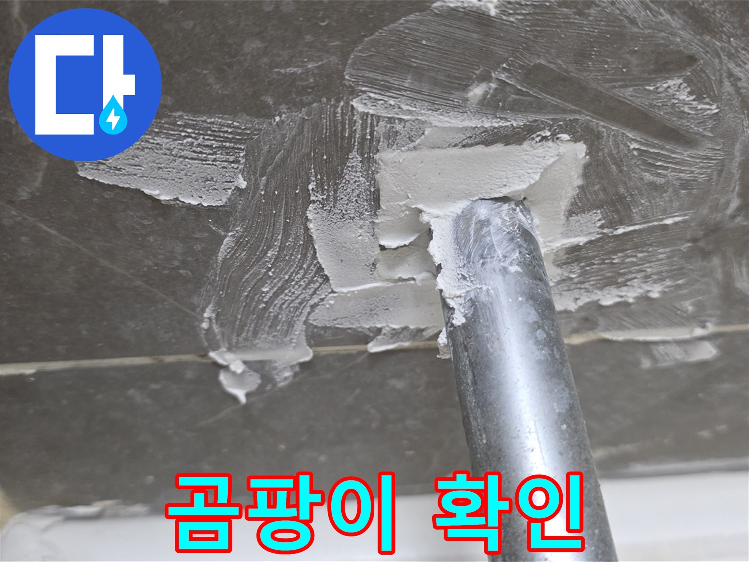 백시멘트 제거 후 곰팡이 발견 - 철저한 제거