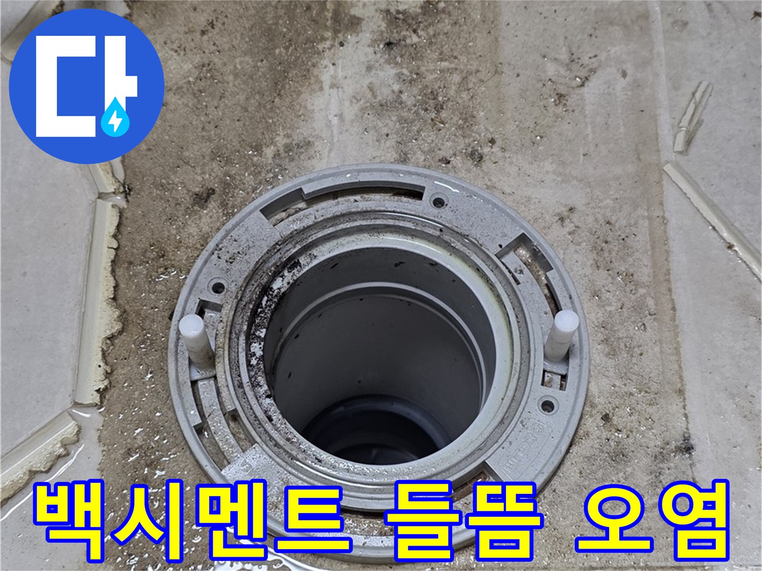 변기 플랜지 주변 백시멘트 - 들뜸과 오염이 심각하여 누수 가능성이 높습니다.