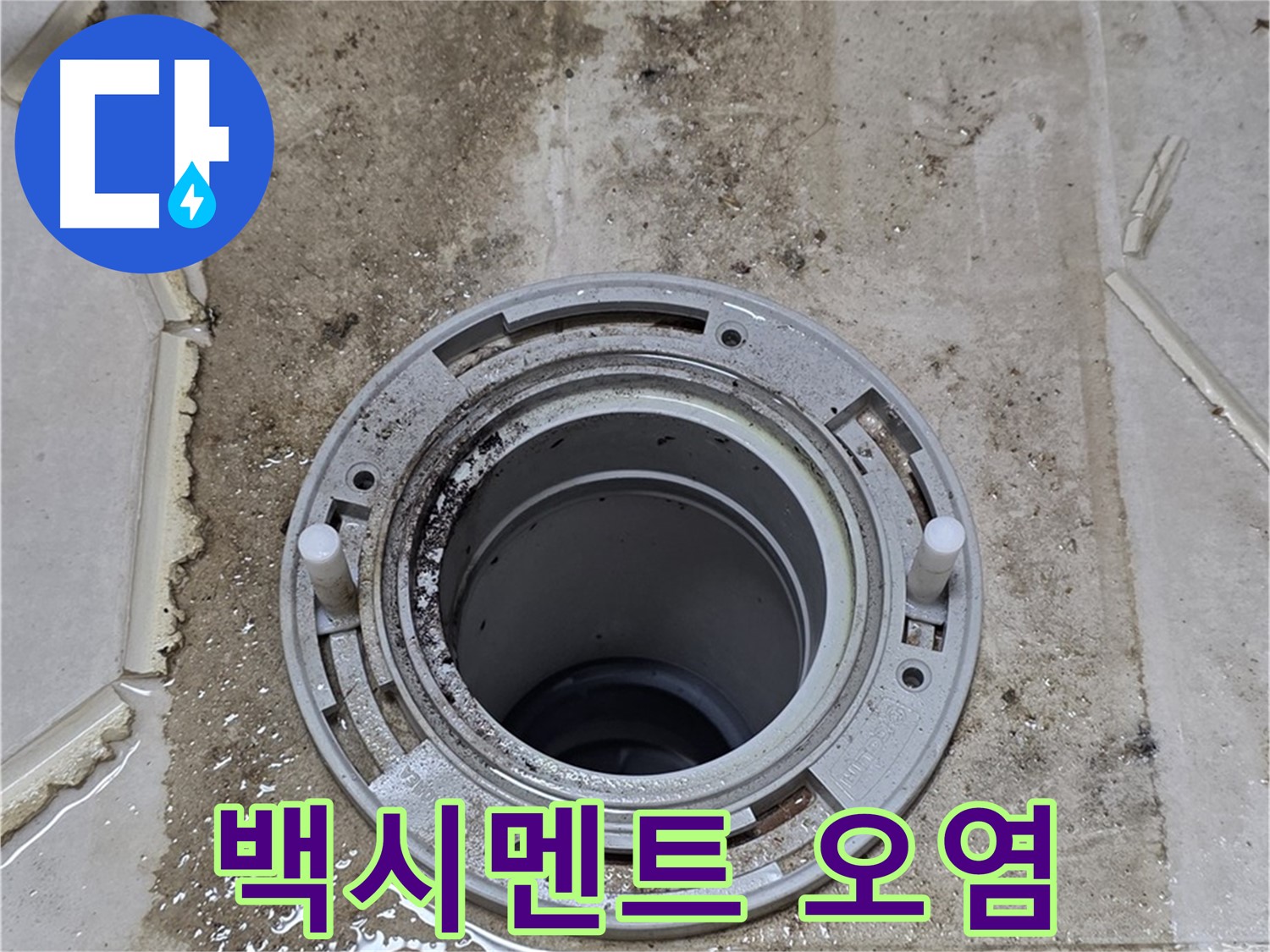 변기 플랜지 주변 백시멘트 손상 - 심한 오염으로 누수 원인으로 작용합니다.