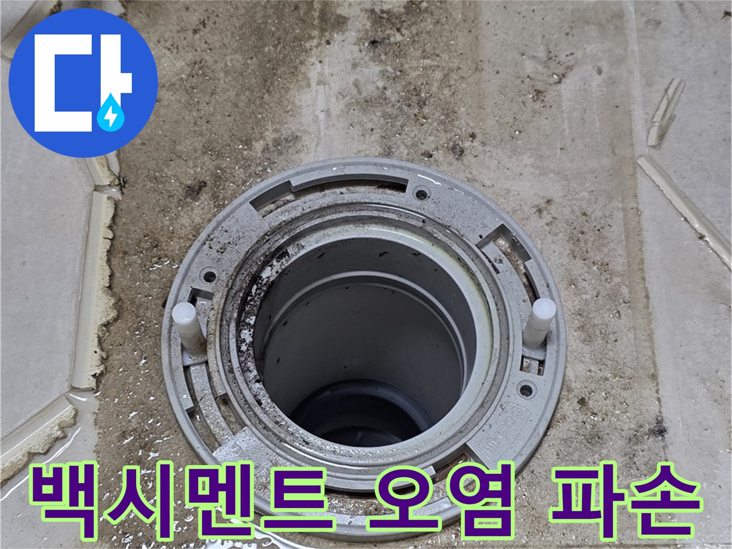 변기 플랜지 주변 백시멘트 - 오염과 함께 파손이 진행 중입니다.