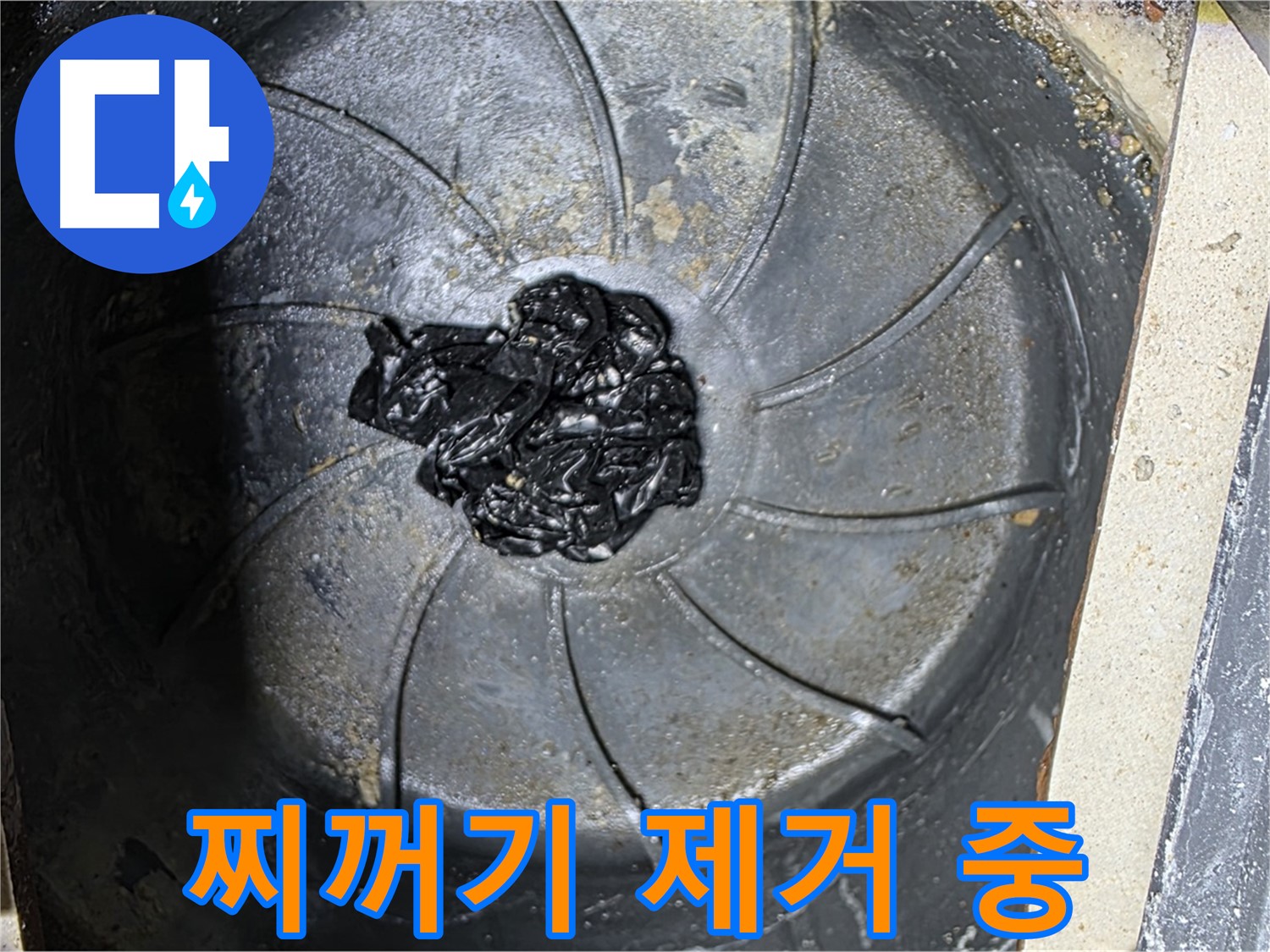 세탁기 배수구 - 검은 찌꺼기 제거 작전 개시!