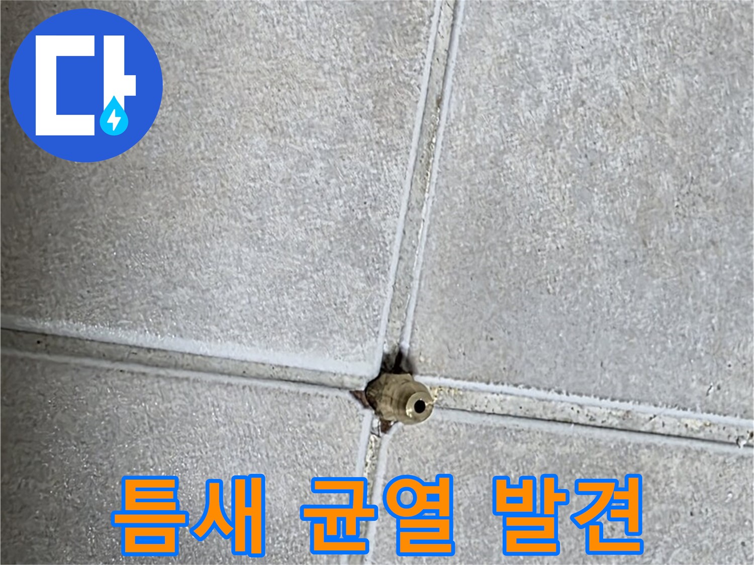 양주 옥정 율정마을 아파트 누수 - 타일 틈새에 숨은 미세한 균열을 발견하고 누수 원인을 파악합니다.
