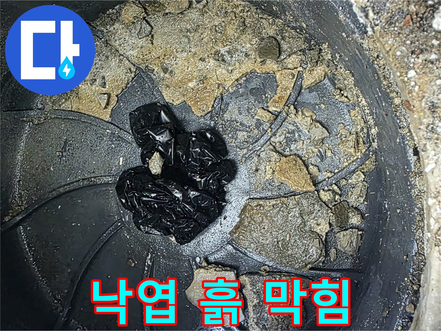 양주 옥정 율정마을 아파트 - 빗물받이를 꽉 막은 낙엽과 흙의 환상적인 조합!