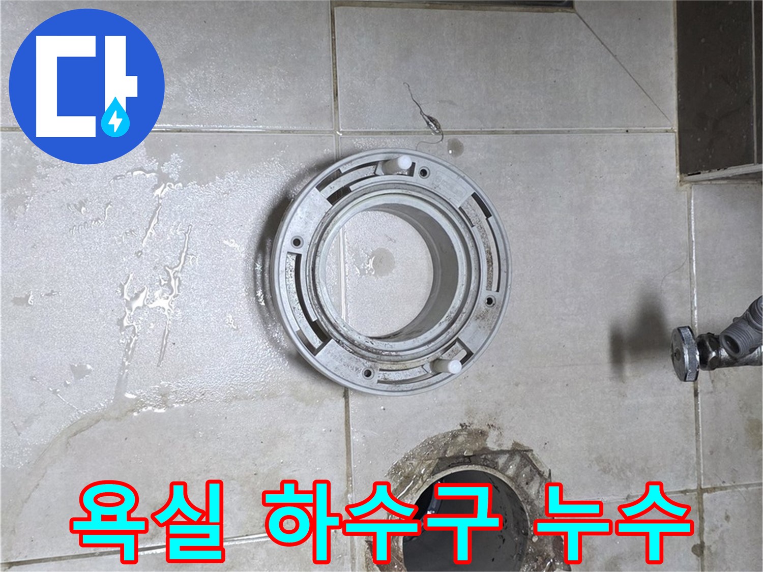 양주 옥정 율정마을 아파트 욕실 하수구 누수 - 누수탐지 전문가의 꼼꼼한 시공