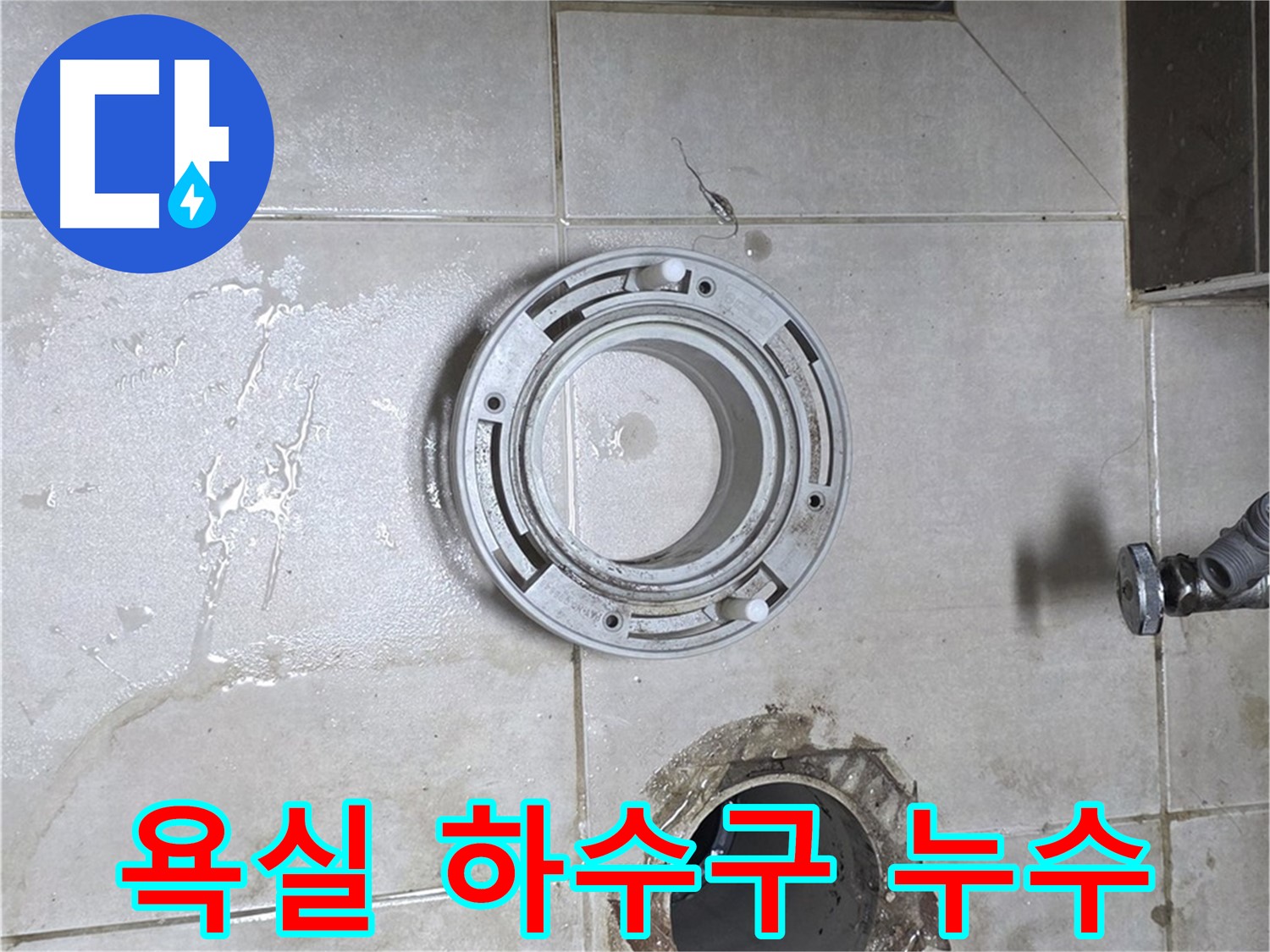양주 옥정 율정마을 아파트 욕실 하수구 배관 누수 - 누수 해결 전문가의 완벽 시공