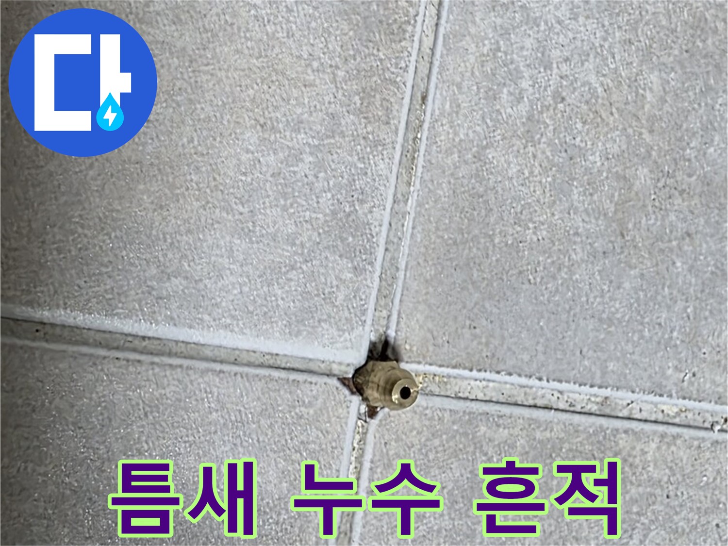 양주 옥정동 율정마을 13단지 아파트 누수 - 타일 틈새에서 발견된 누수 흔적을 보여줍니다.