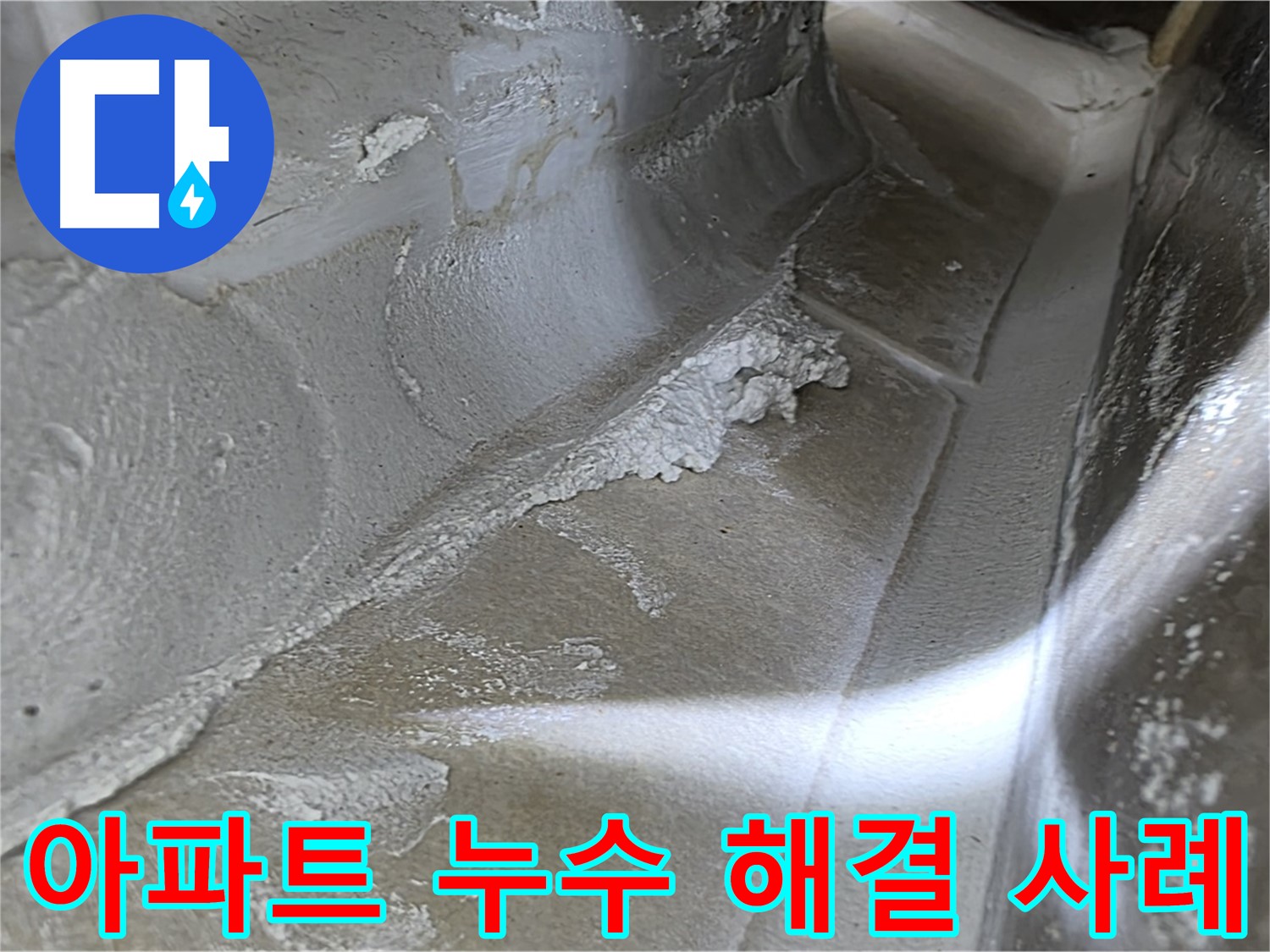 양주 옥정동 율정마을 13단지 아파트 누수 해결 - 누수탐지 전문가가 누수 원인을 찾아 해결하는 과정을 상세히 보여줍니다.