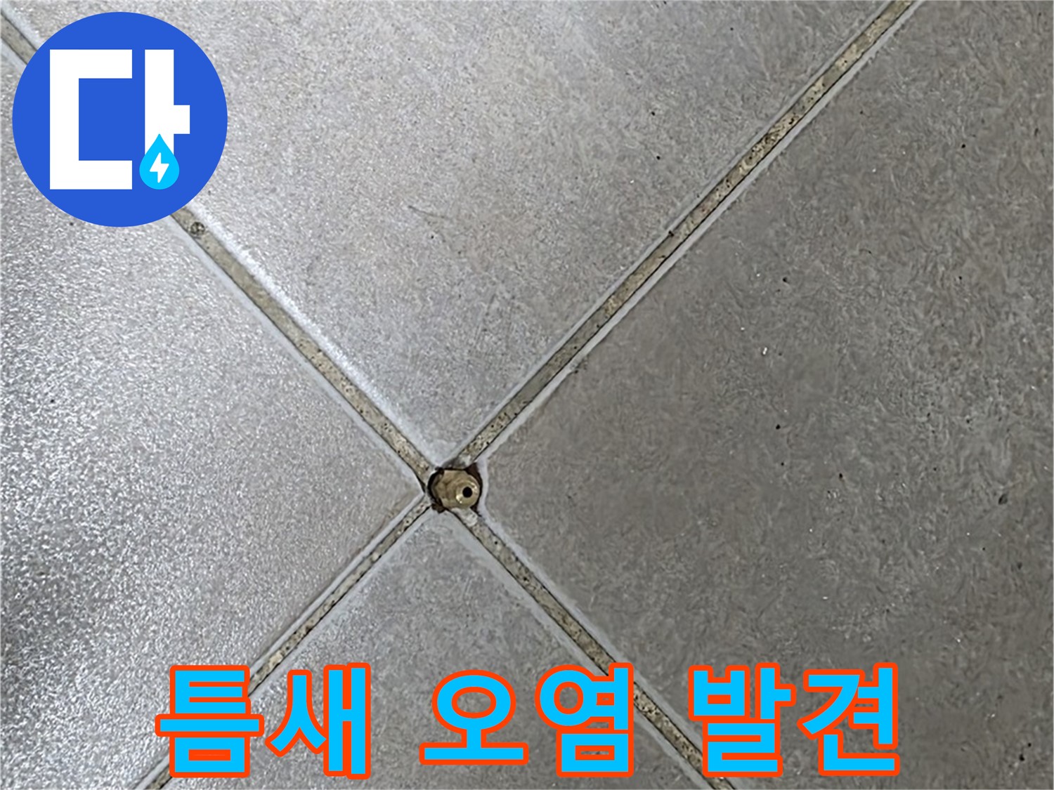 양주 옥정동 율정마을 13단지 아파트 타일 틈새 오염 - 초기 발견 사진입니다.
