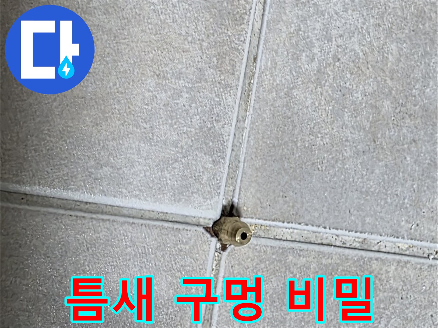 양주 옥정동 율정마을 아파트 누수 - 타일 틈새 구멍 속에 숨겨진 누수의 비밀을 파헤쳐 봅니다.