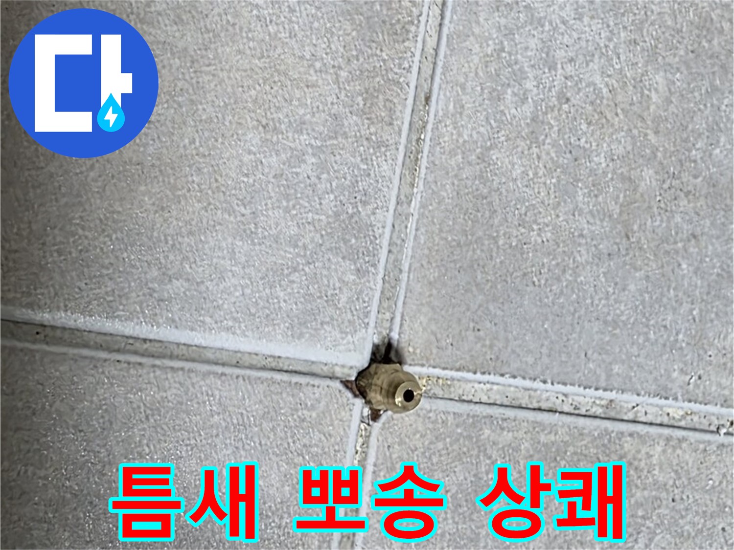 양주 옥정동 율정마을 아파트 누수 - 타일 틈새 누수, 완벽하게 해결하고 뽀송뽀송한 욕실에서 상쾌한 하루를 시작하세요!