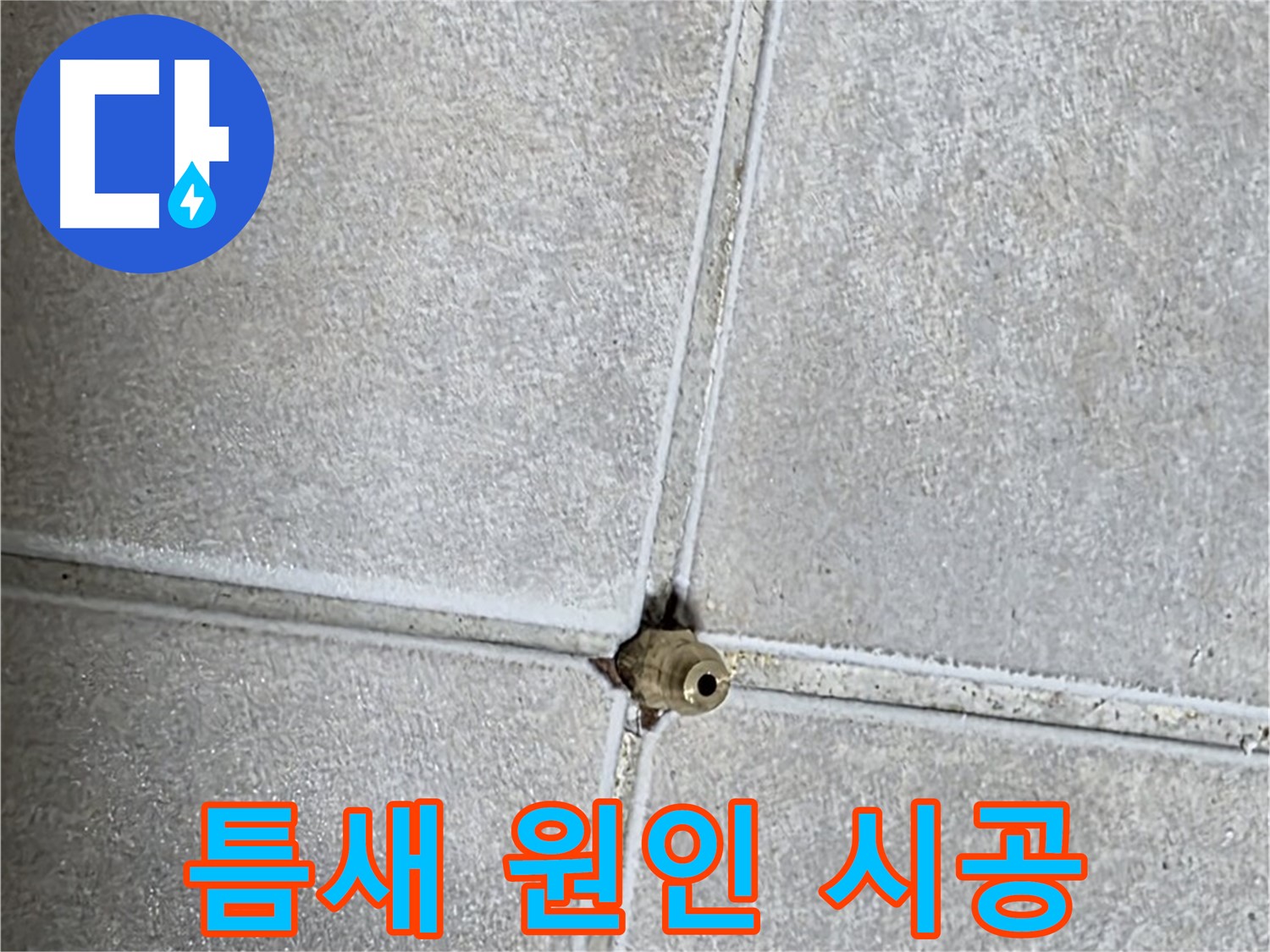 양주 옥정동 율정마을 아파트 누수 - 타일 틈새 누수, 원인부터 해결까지 책임 시공으로 완벽하게 해결해 드립니다!