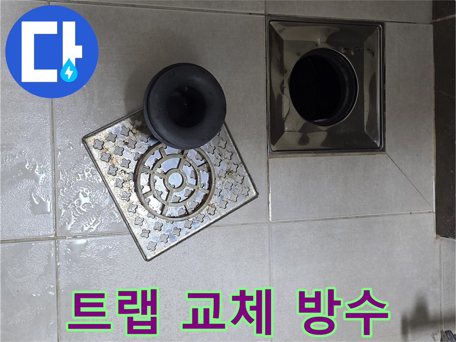 양주 옥정동 율정마을 아파트 - 욕실 배수구 누수, 트랩 교체 후 완벽한 방수 처리