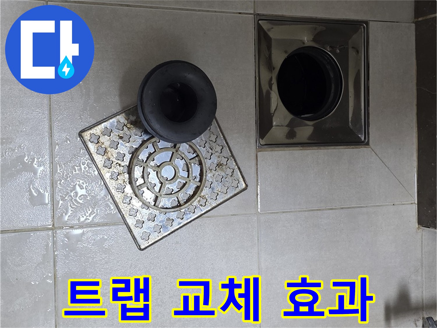 양주 옥정동 율정마을 아파트 - 욕실 배수구 누수, 트랩 교체로 완벽 차단