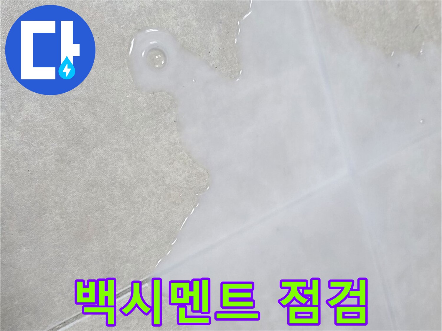 양주 옥정동 율정마을 아파트 타일 틈새 백시멘트 점검 - 정확한 진단 및 맞춤 솔루션 제공