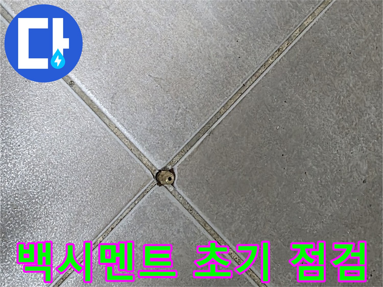 양주시 옥정동 율정마을 13단지 아파트 타일 틈새 백시멘트 - 초기 점검 과정입니다.