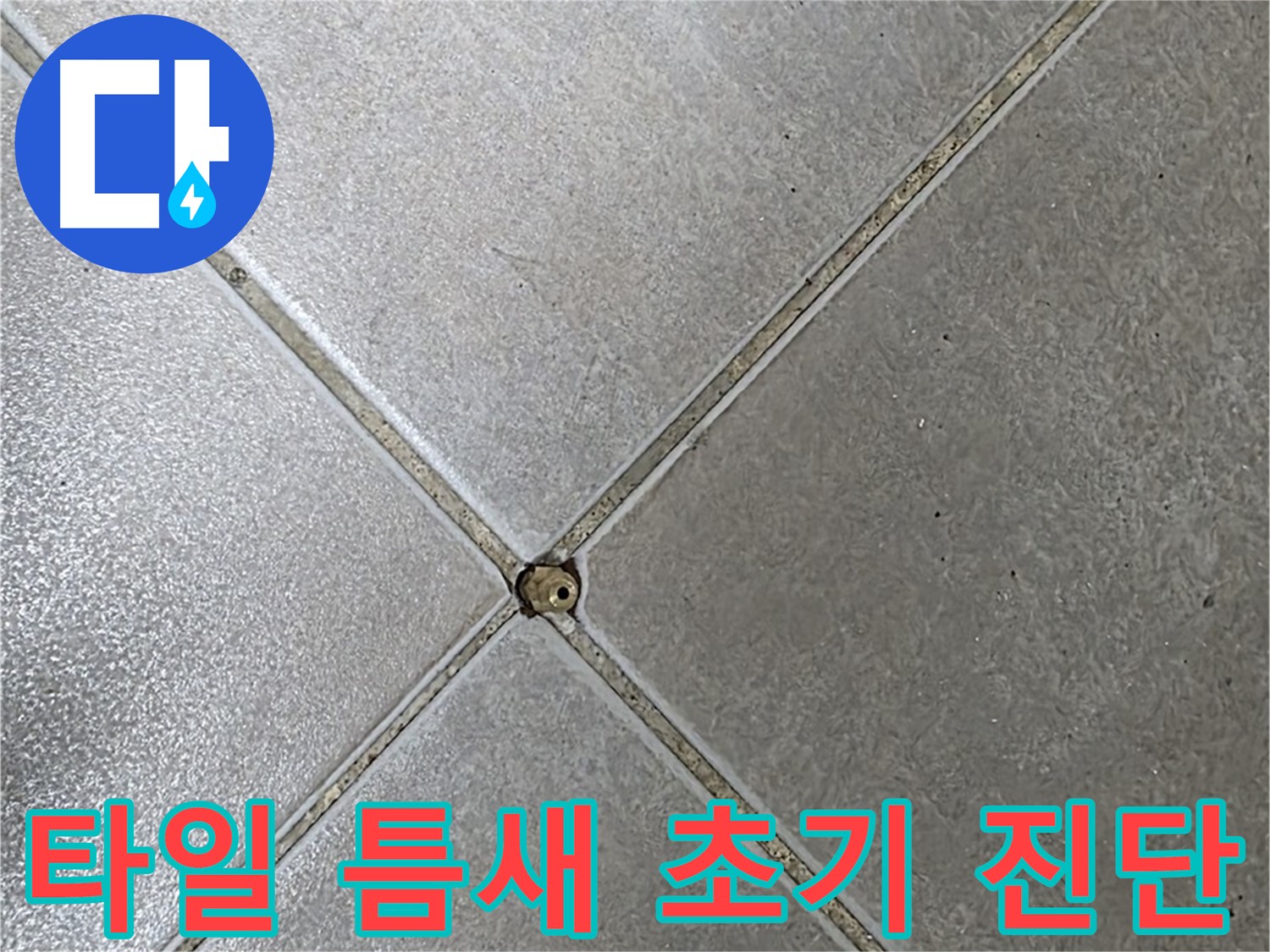 양주시 옥정동 율정마을 13단지 아파트 타일 틈새 오염 - 전문가의 초기 진단 모습입니다.