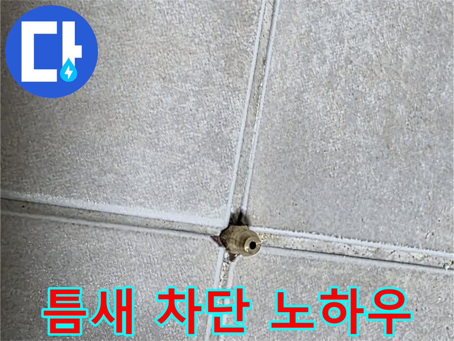 옥정 율정마을 아파트 누수 - 타일 틈새 구멍, 저희만의 완벽 차단 시공 노하우를 공개합니다.