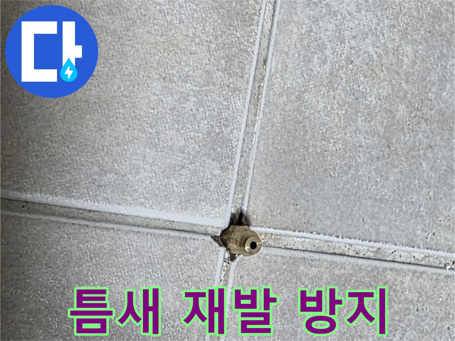 옥정 율정마을 아파트 누수 - 타일 틈새 누수, 재발 방지까지 완벽하게 책임집니다!