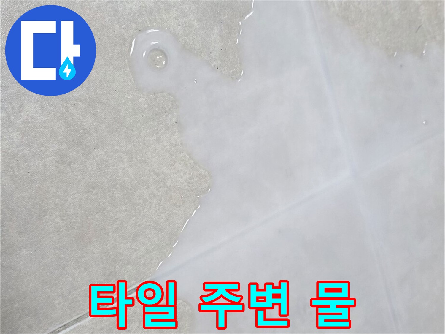 옥정 율정마을 아파트 타일 주변 물 고임 - 누수 가능성 높음, 빠른 점검 필요