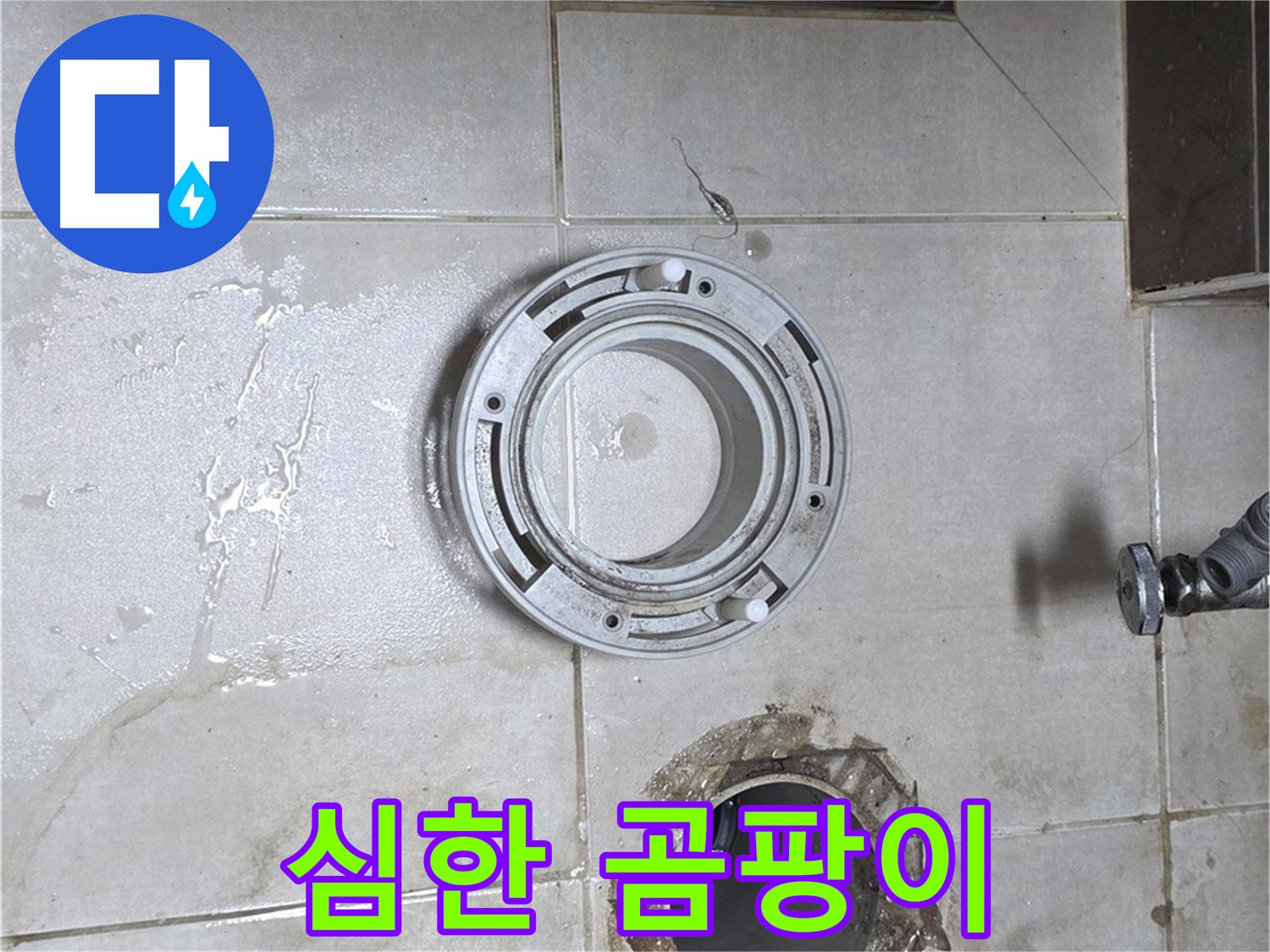 옥정동 율정마을 아파트 변기 누수 - 변기 주변에 곰팡이가 심하게 슬어있는 모습