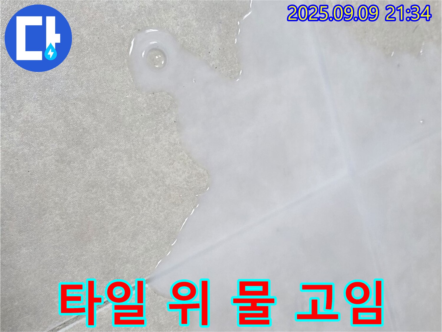 옥정동 율정마을 아파트 타일 위 물 고임 - 신속하게 연락 주세요