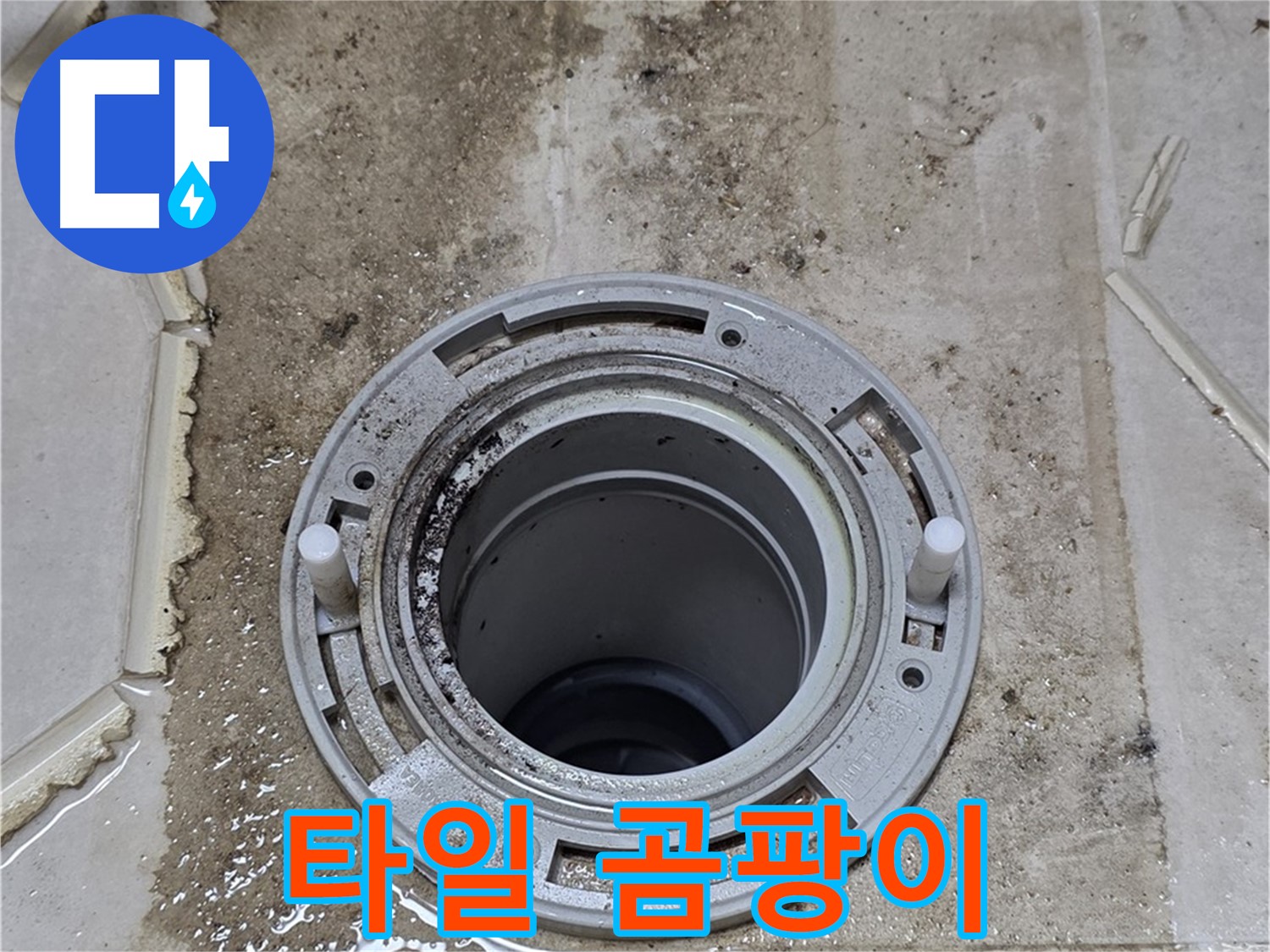 타일 틈새에 핀 곰팡이 - 누수로 인해 습기가 많아 곰팡이가 번식한 모습입니다.