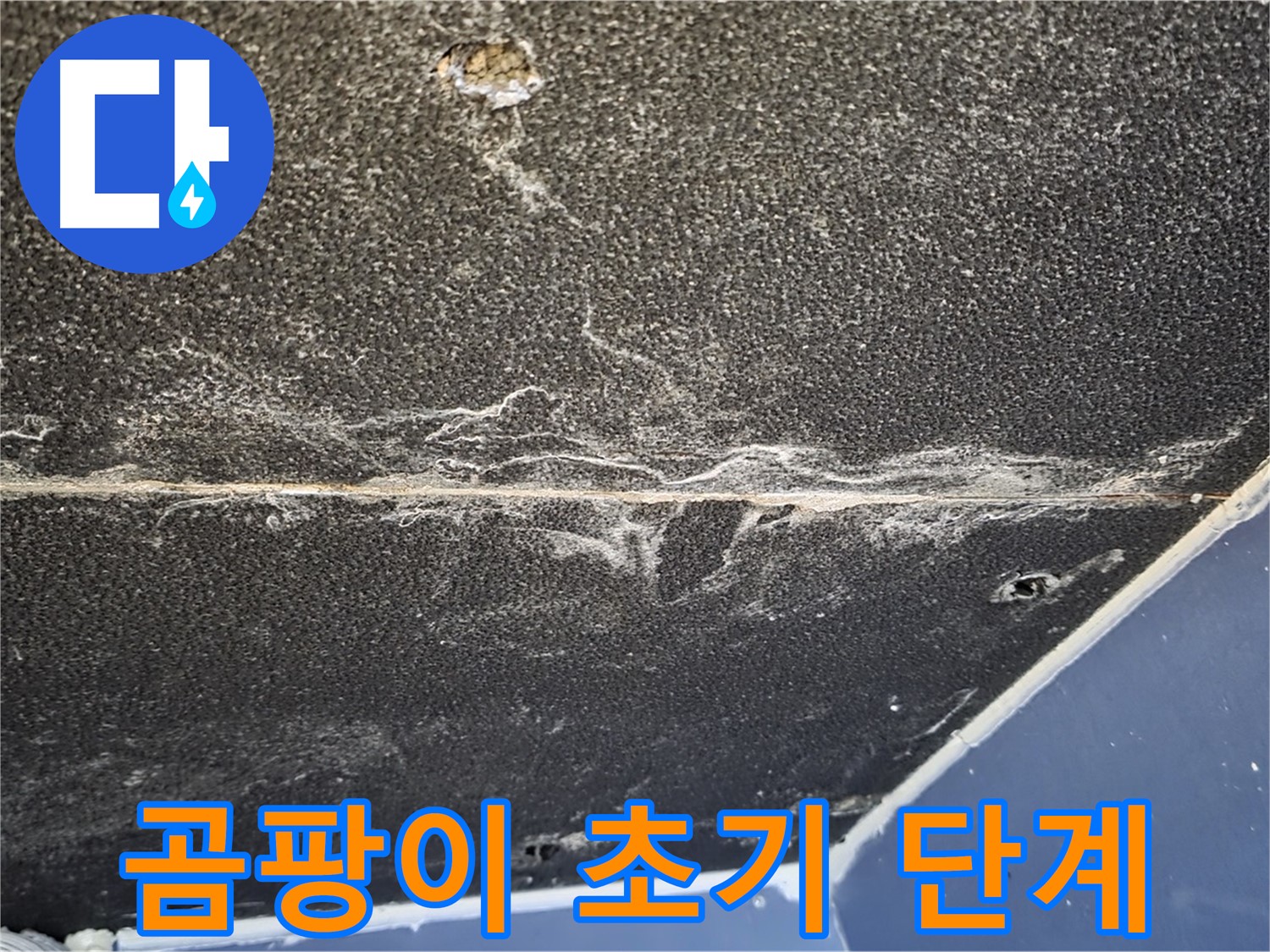 운정어반프라임 곰팡이 - 석고보드 곰팡이 발생 초기 단계 확인