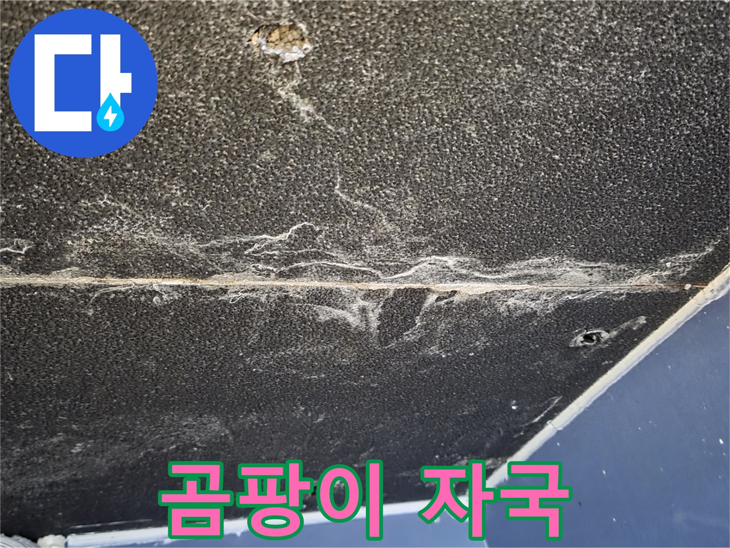 운정어반프라임 곰팡이 - 천장 석고보드 곰팡이 자국 확인