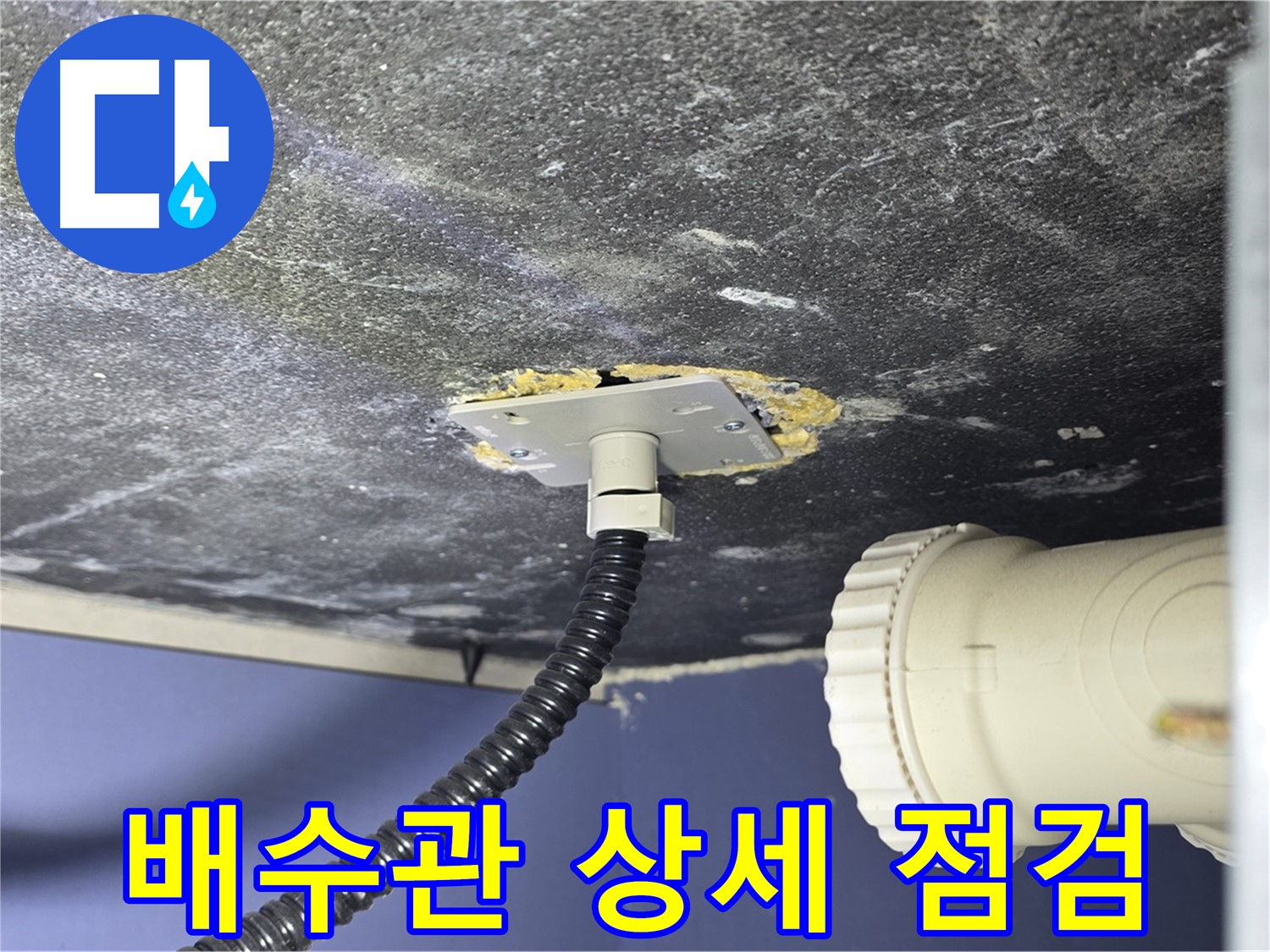 운정어반프라임 세면대 누수 - 배수관 연결부 상태를 상세하게 점검하는 모습