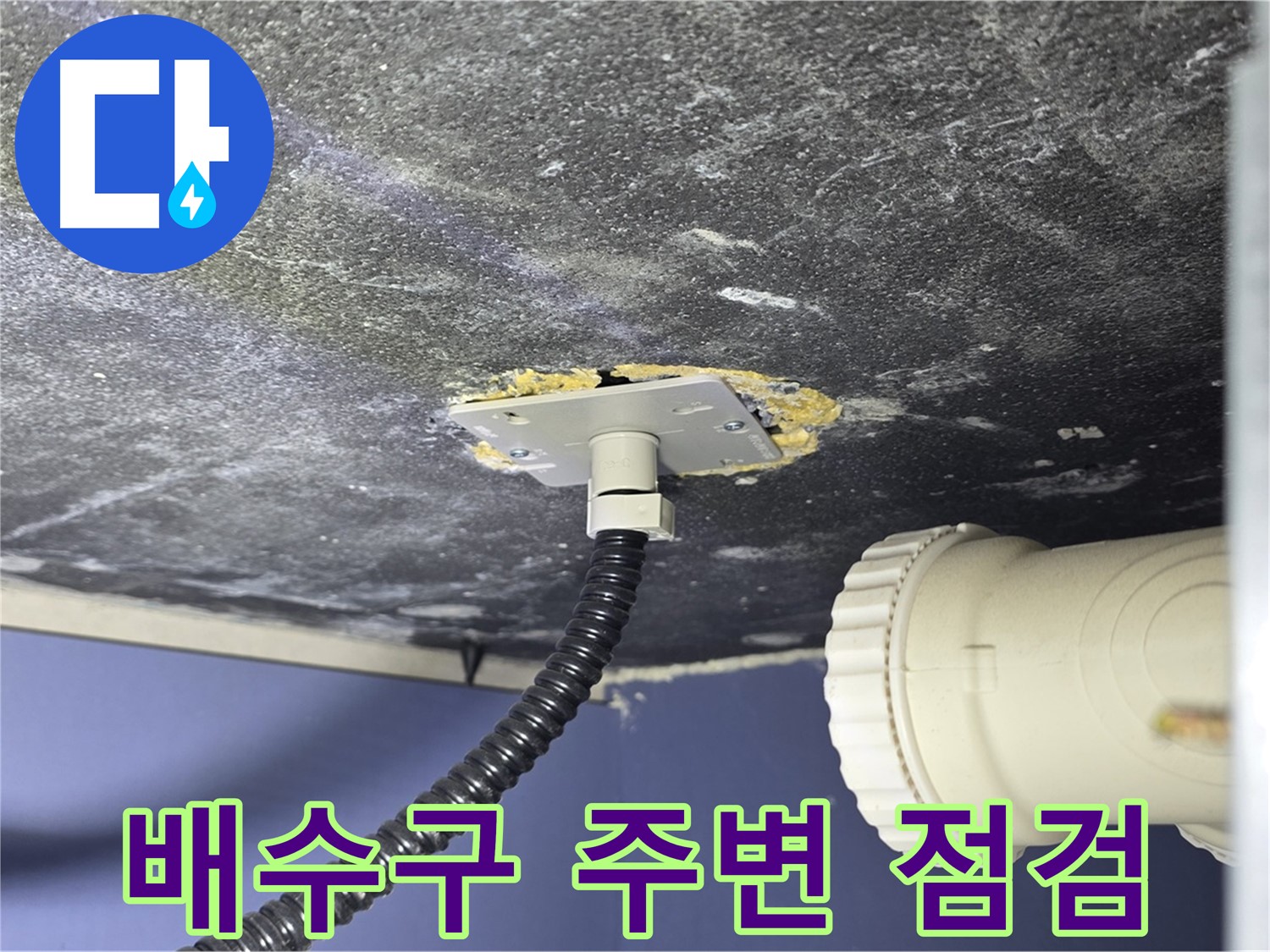 운정어반프라임 세탁실 누수 - 세탁기 배수구 주변의 누수 가능성을 점검하는 모습