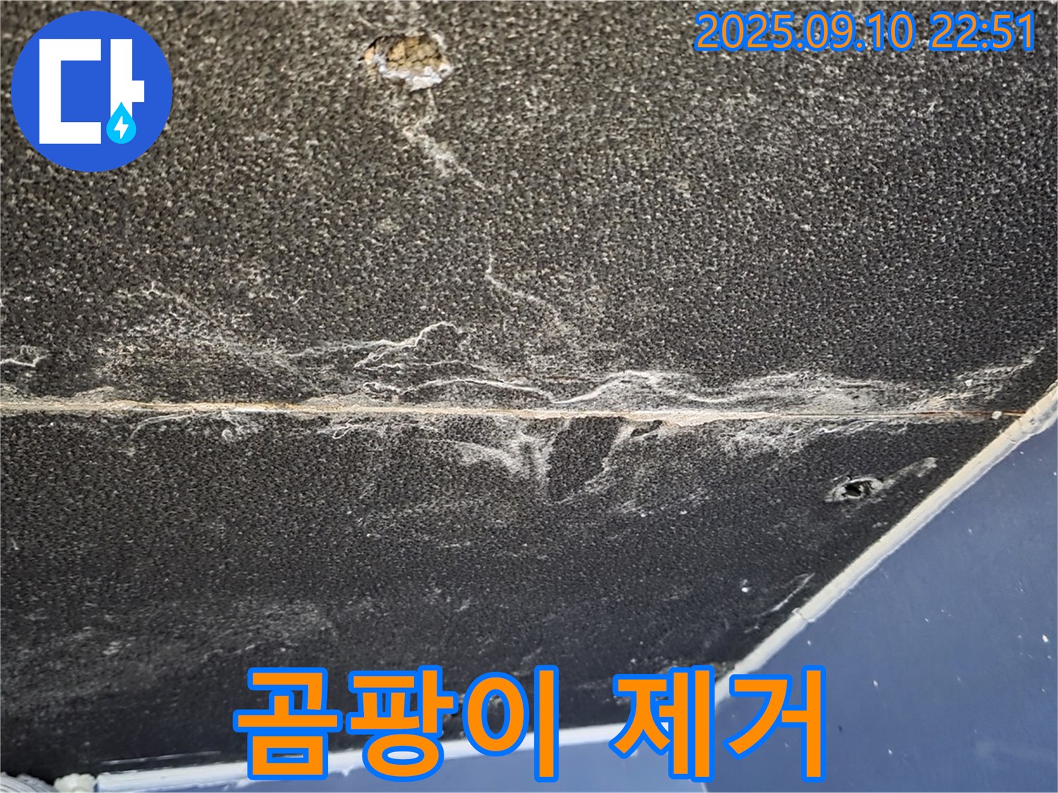 운정어반프라임 아파트 천장 누수 - 누수 해결과 함께 곰팡이 제거까지 책임집니다.