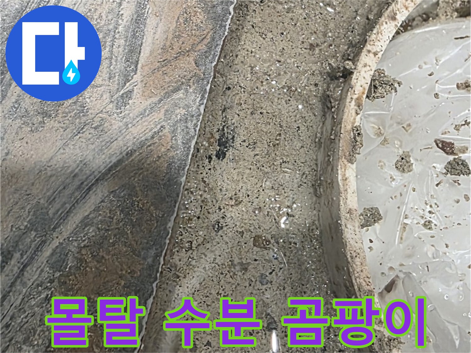 유가 주변 몰탈 과도한 수분 - 곰팡이 서식 - 건강 위협