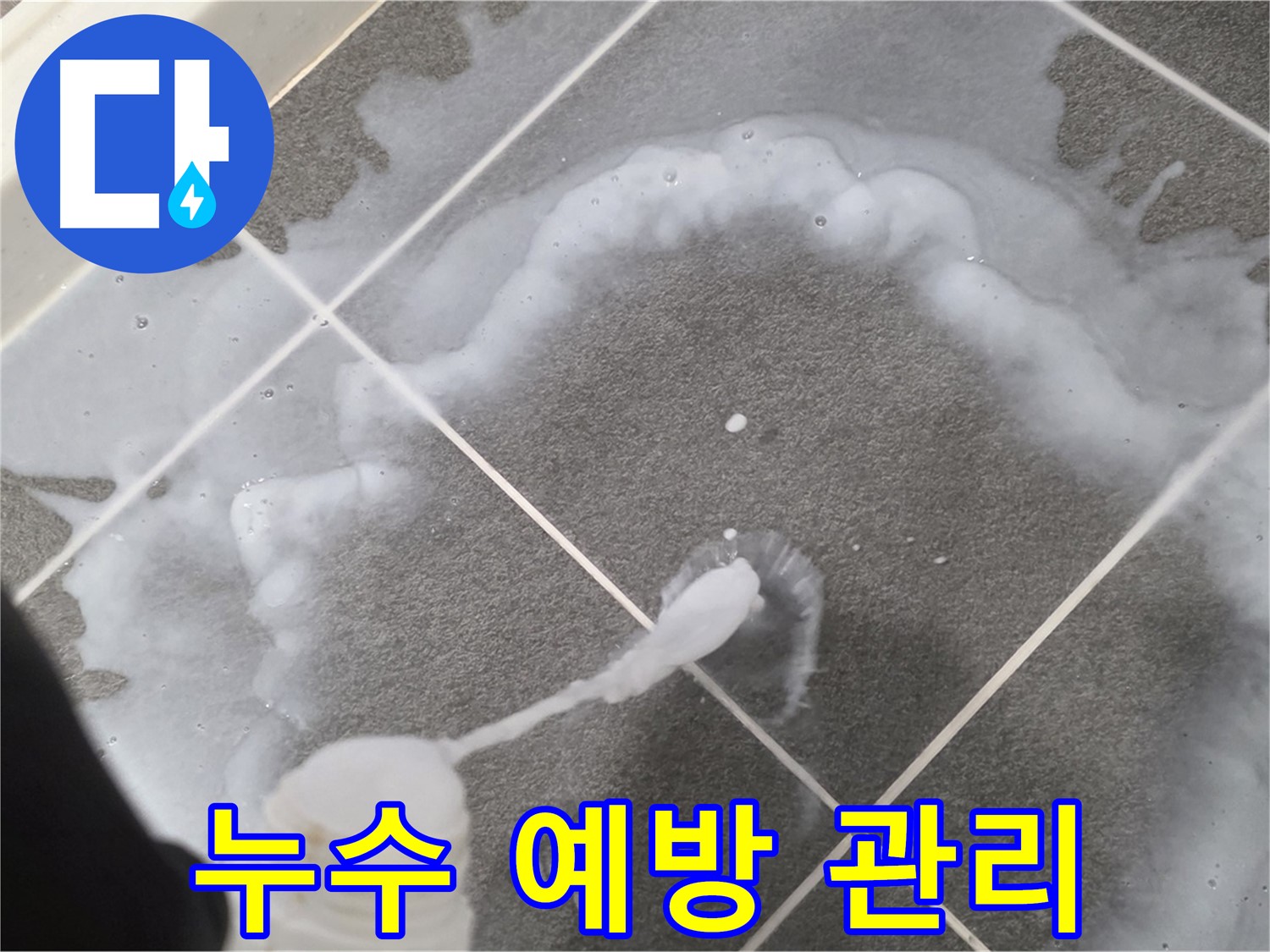 파주 동패동 아파트 욕실 - 곰팡이 청소로 누수 예방하는 꼼꼼 관리