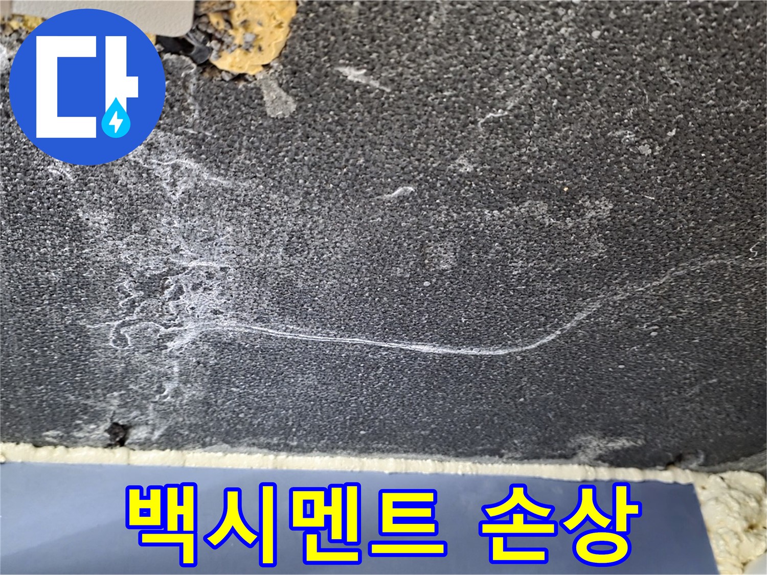 파주 동패동 아파트 천장 누수 - 백시멘트 손상 확인, 누수 경로 파악