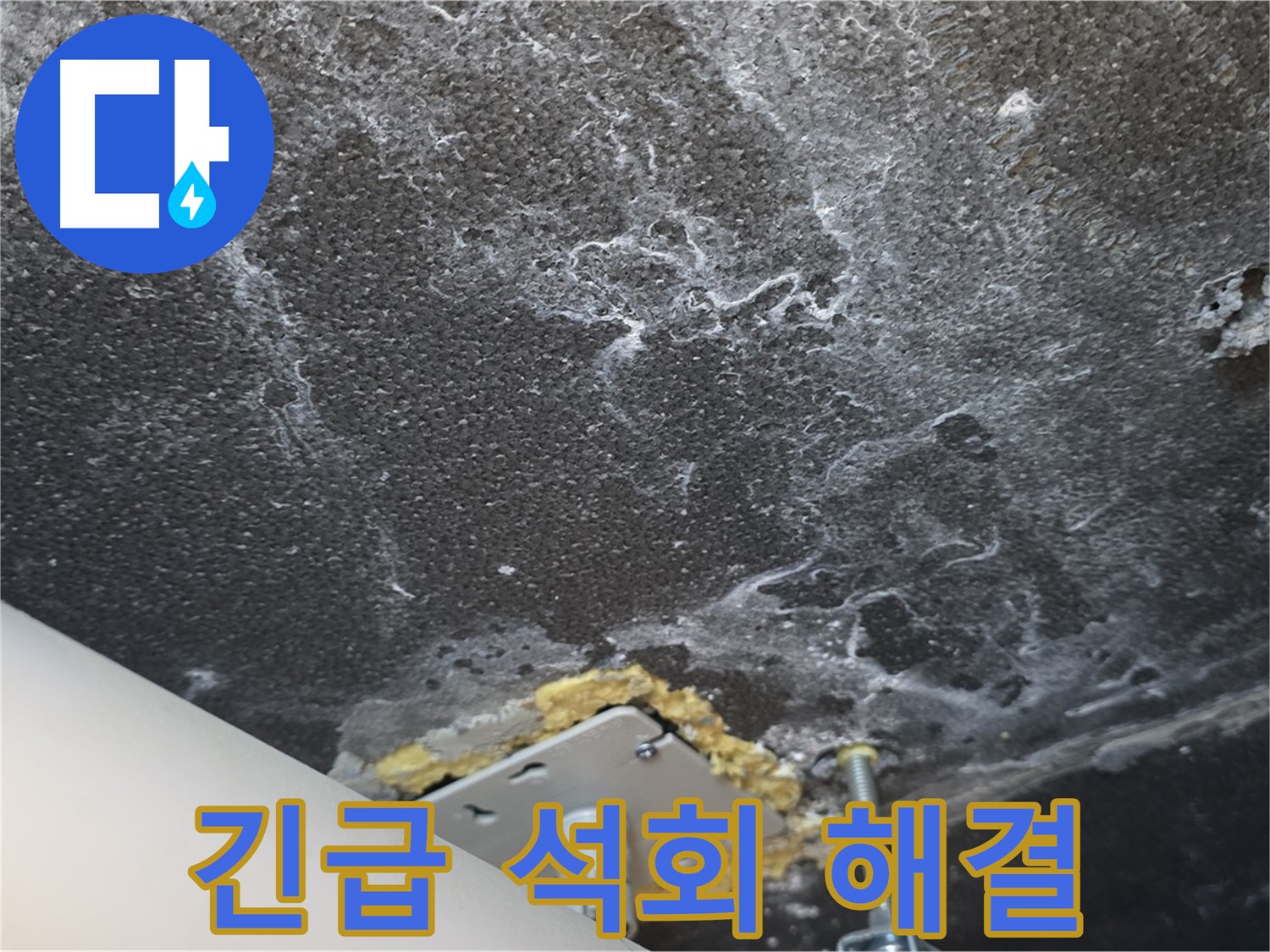 파주시 동패동 누수 - 긴급 석회 누수 완벽 해결 완료
