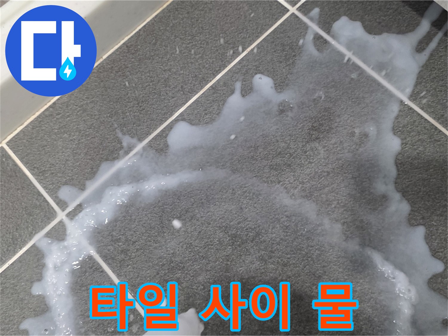 파주시 동패동 운정어반프라임 1201동 아파트 타일 사이 물 - 누수탐지 전문 업체가 누수 원인을 찾아 해결합니다.