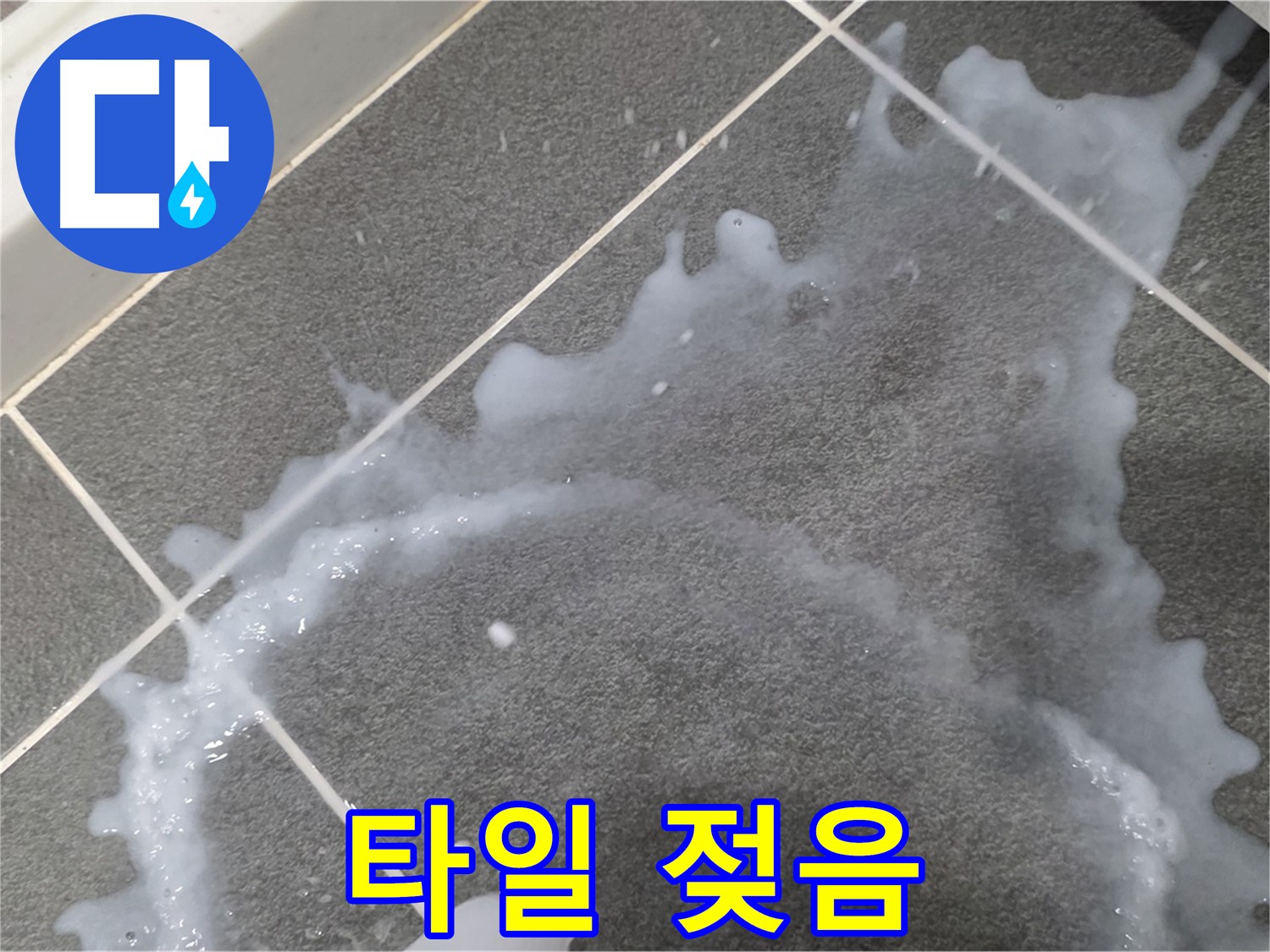 파주시 동패동 운정어반프라임 1201동 아파트 타일 젖음 - 누수탐지 전문 업체가 누수 진단과 꼼꼼한 시공으로 문제 해결