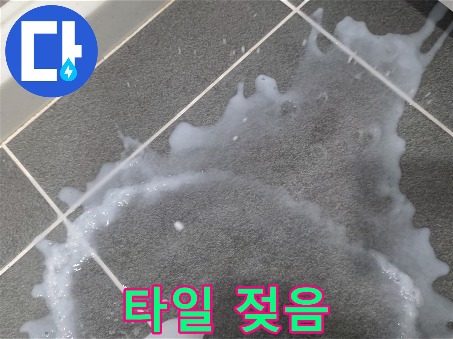 파주시 동패동 운정어반프라임 1201동 아파트 타일 젖음 - 누수탐지 전문 업체가 누수 진단과 꼼꼼한 시공으로 문제를 해결합니다.