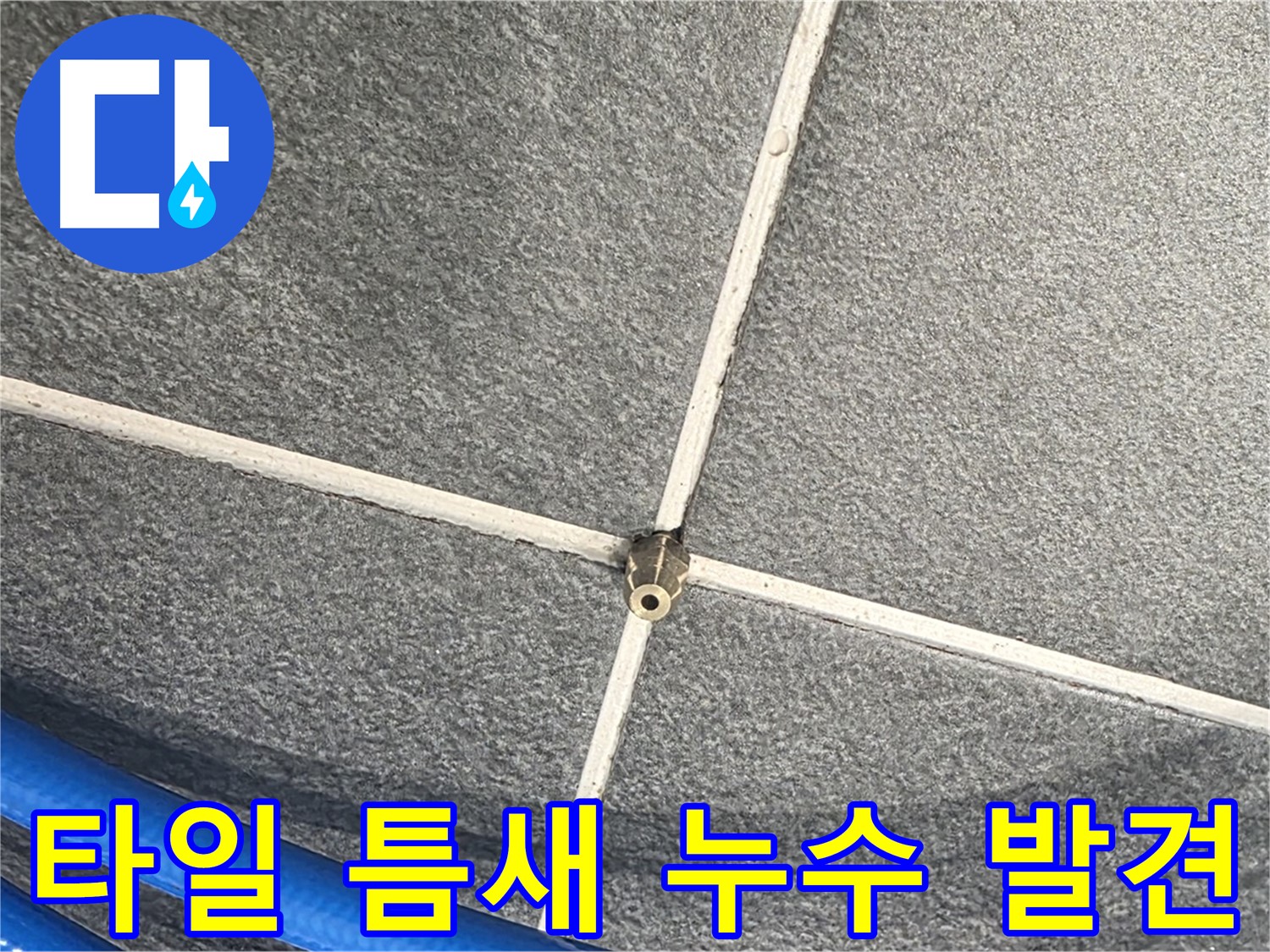 파주시 동패동 운정어반프라임 아파트 누수 - 타일 틈새에서 발생하는 누수를 발견한 모습입니다.