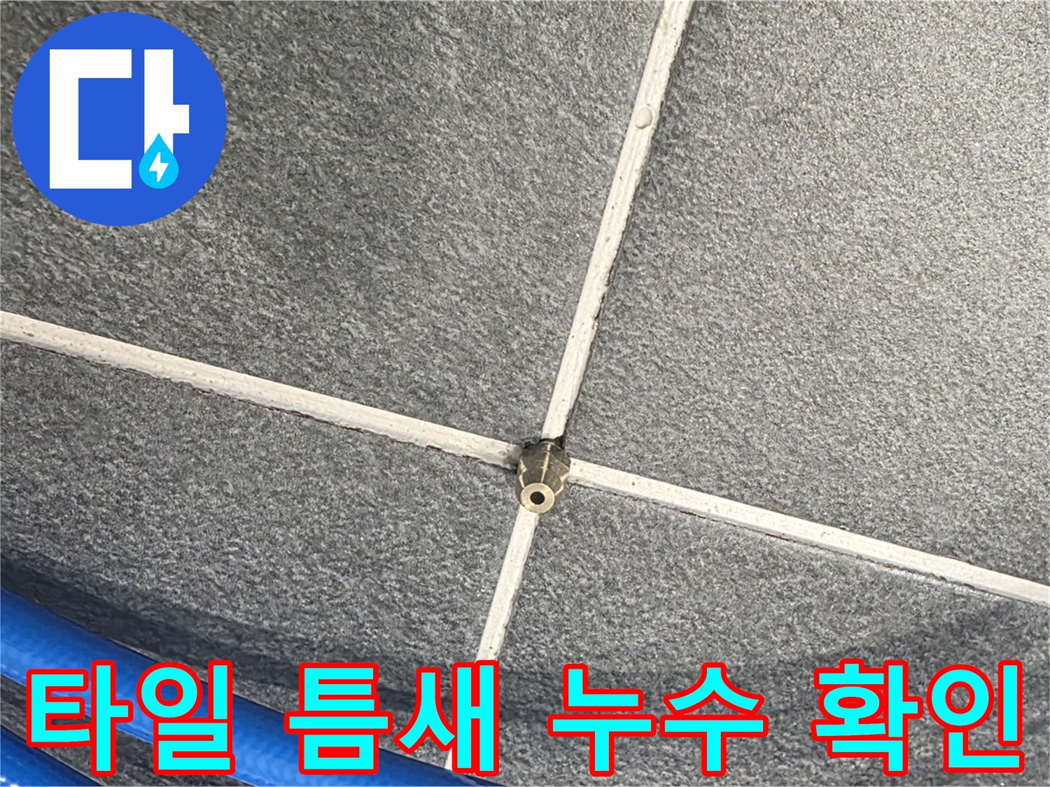파주시 동패동 운정어반프라임 아파트 누수 - 타일 틈새에서 발생하는 누수를 확인하고 있습니다.