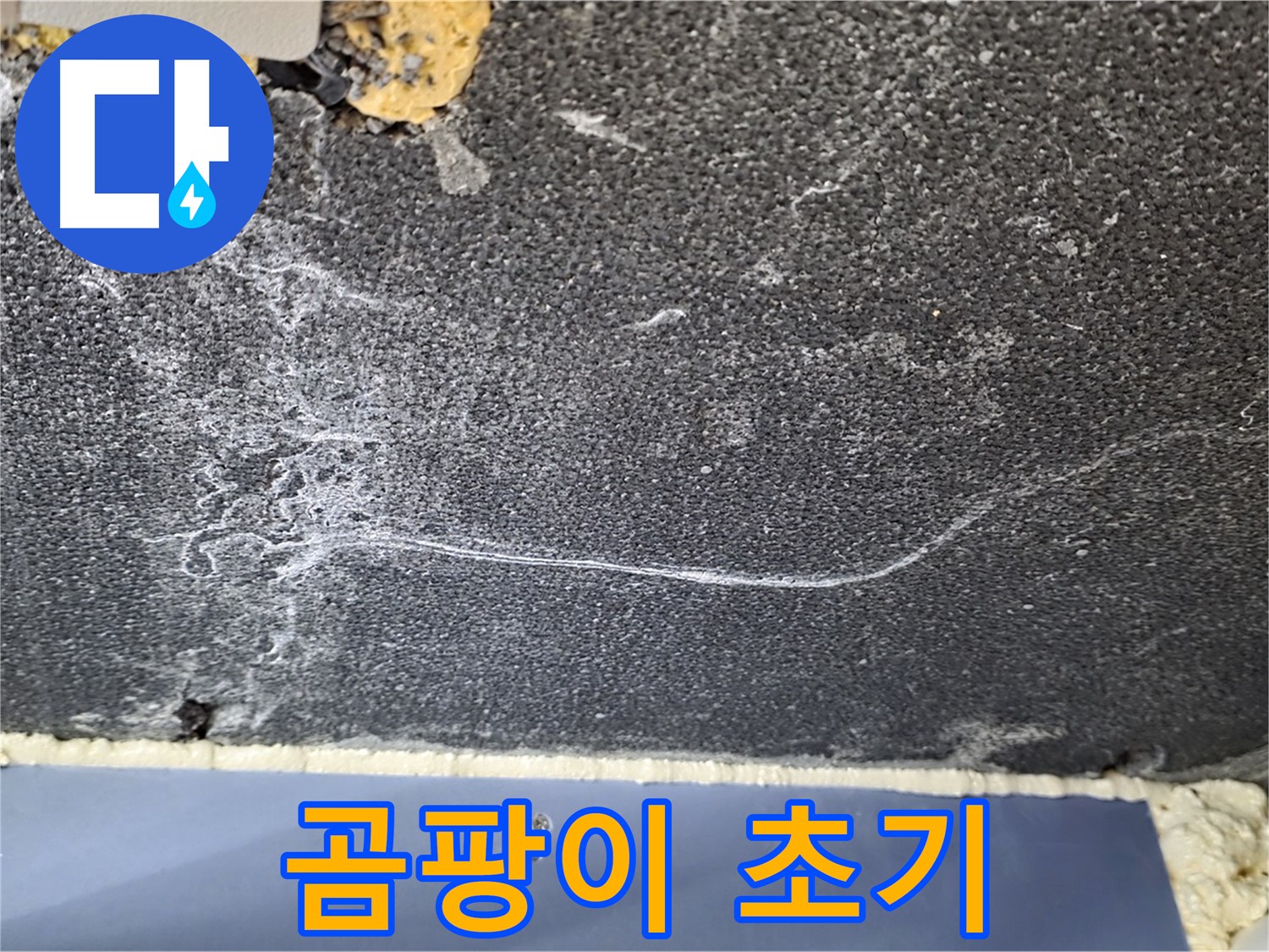 파주시 동패동 운정어반프라임 아파트 천장 누수 - 곰팡이 발생 초기 단계